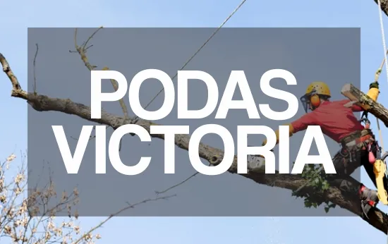 Podas Victoria 01
