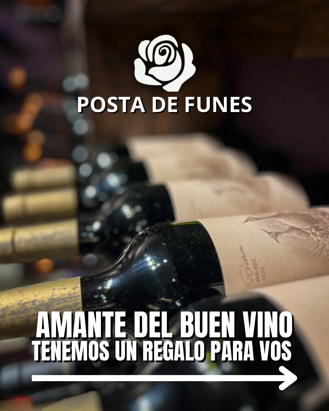 postadefunes_1776290094_3876122283064806784_5971407372