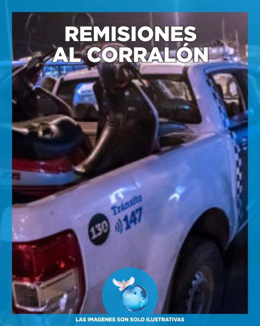 REMISIONES AL CORRALÓN