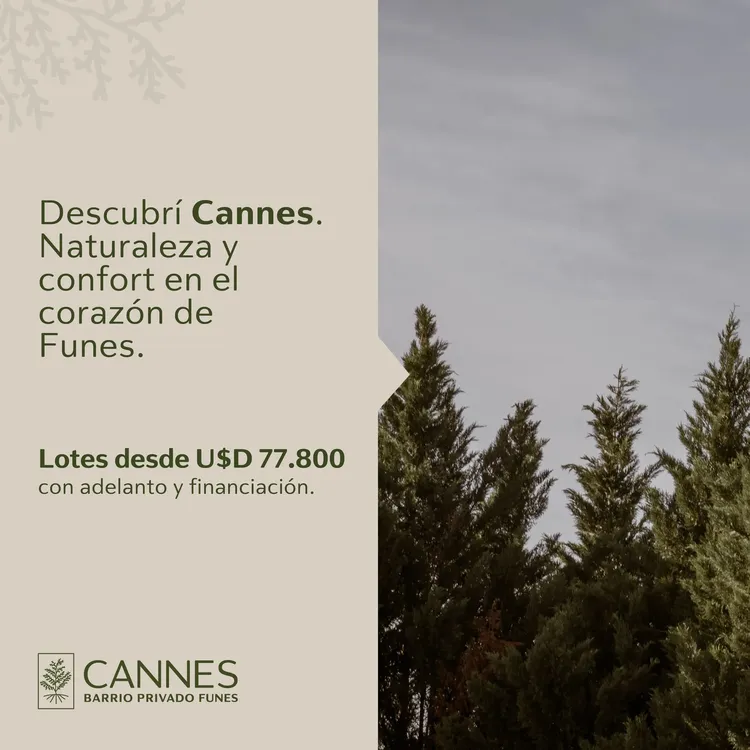 mapropiedades_469197404_1200450558178715_462953817403496527_n