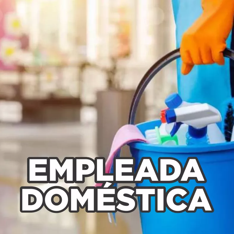 Empleada Domestica 02