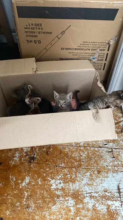 WhatsApp Image 2024-12-07 at 11.59.35 (1)