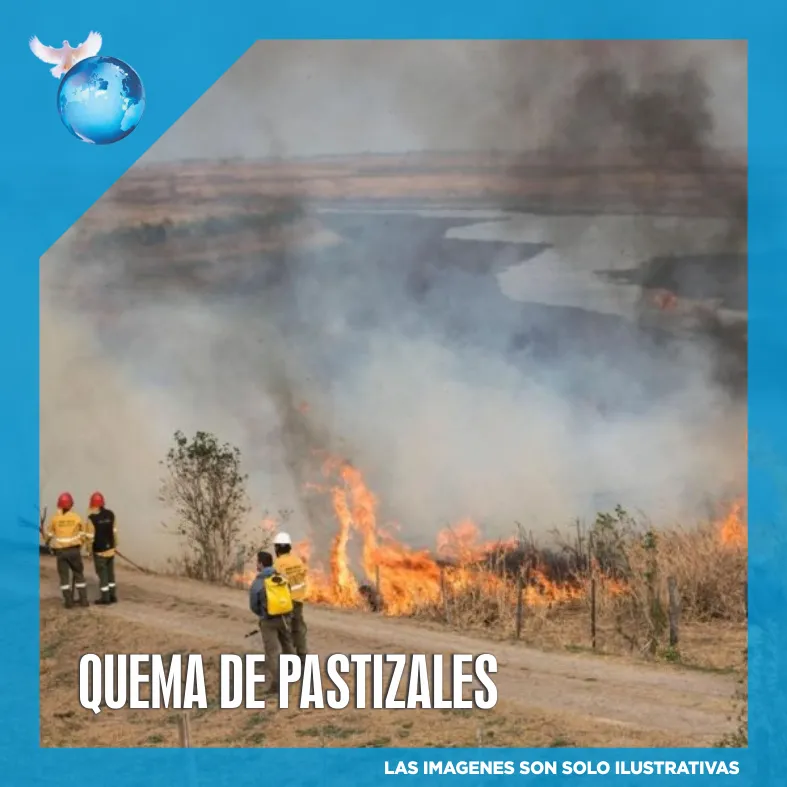 Accidente de Tránsito