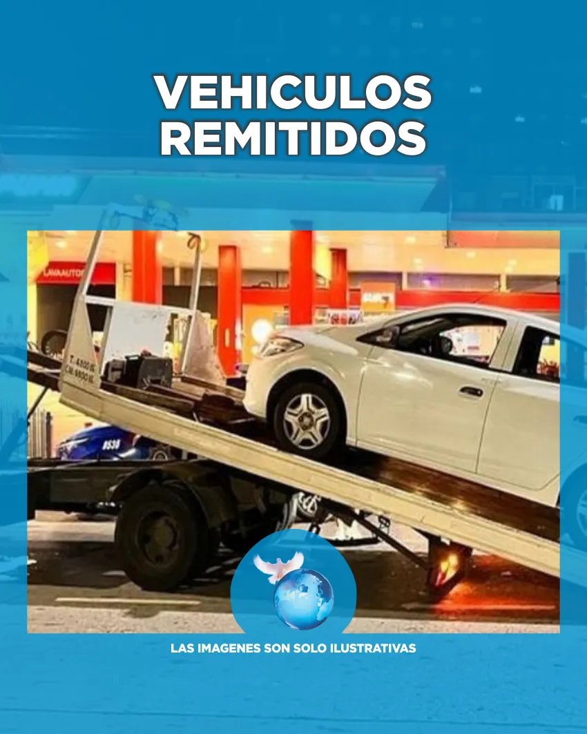 REMISION VEHICULOS