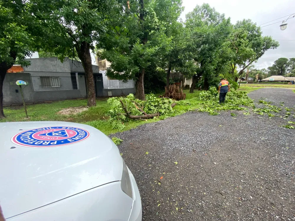 WhatsApp Image 2024-12-06 at 08.58.01 (1)