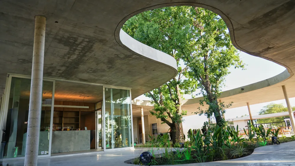 Copia de MAS09021 copia