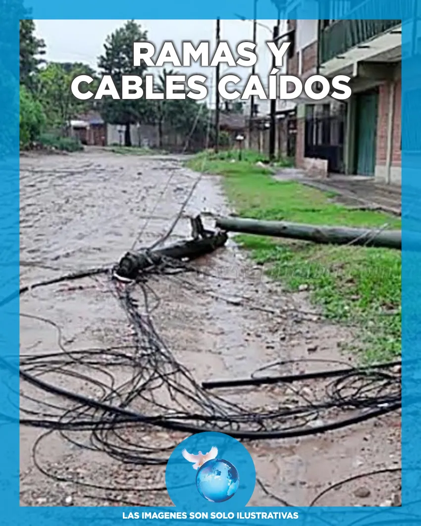 RAMAS Y CABLES CAÍDOS