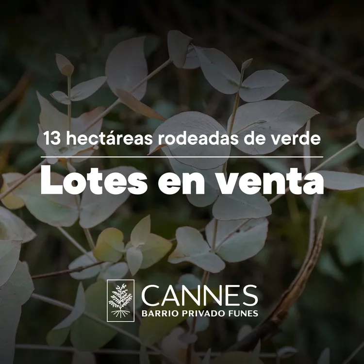 mapropiedades_459907379_1139303330960105_1601239286726191040_n