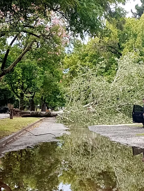 WhatsApp Image 2025-02-05 at 12.23.12