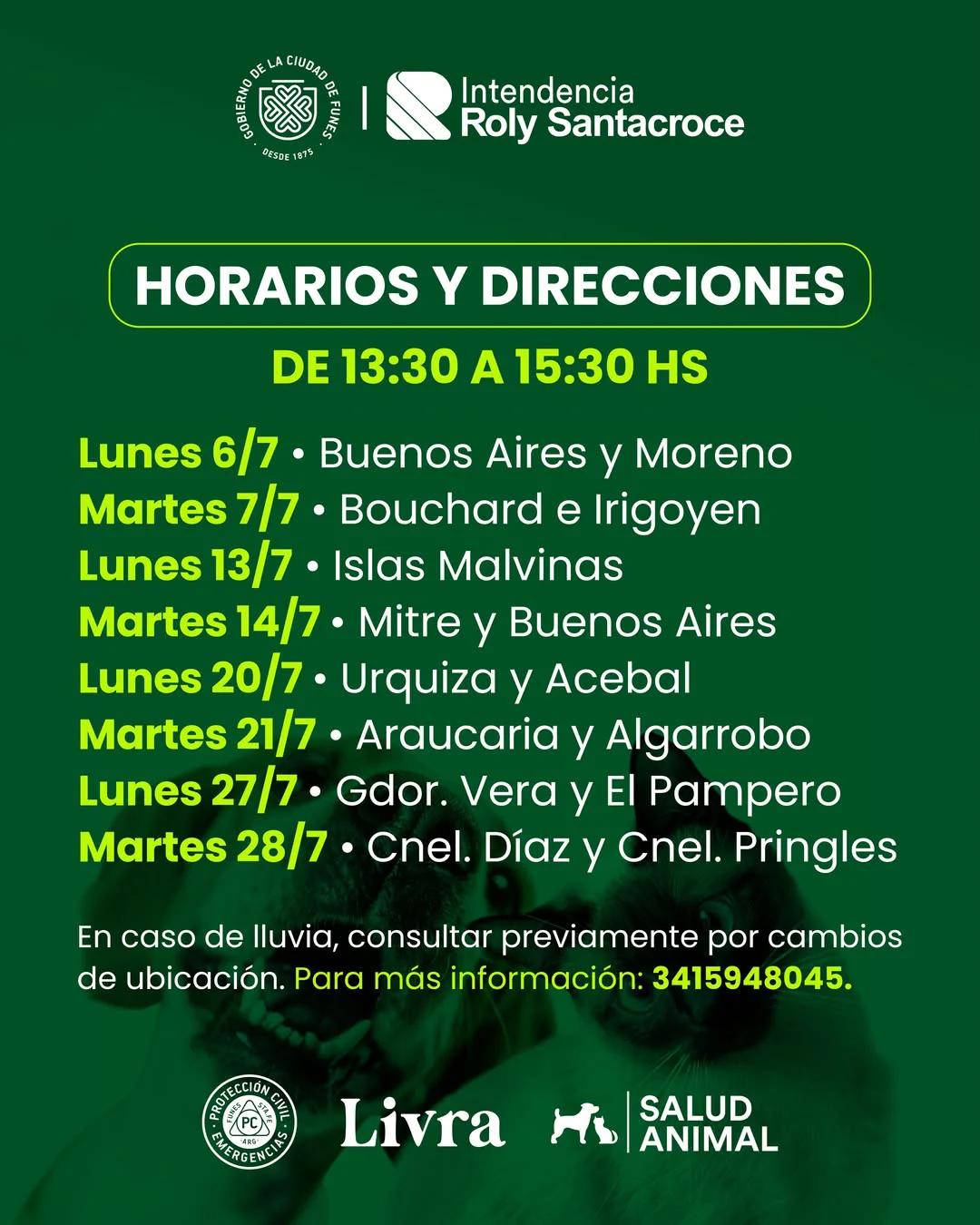 saludanimal.funes_1782909255_3931650064752593040_65671429708