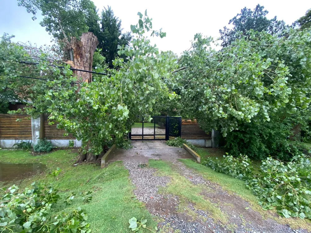 WhatsApp Image 2024-12-06 at 08.58.00 (1)