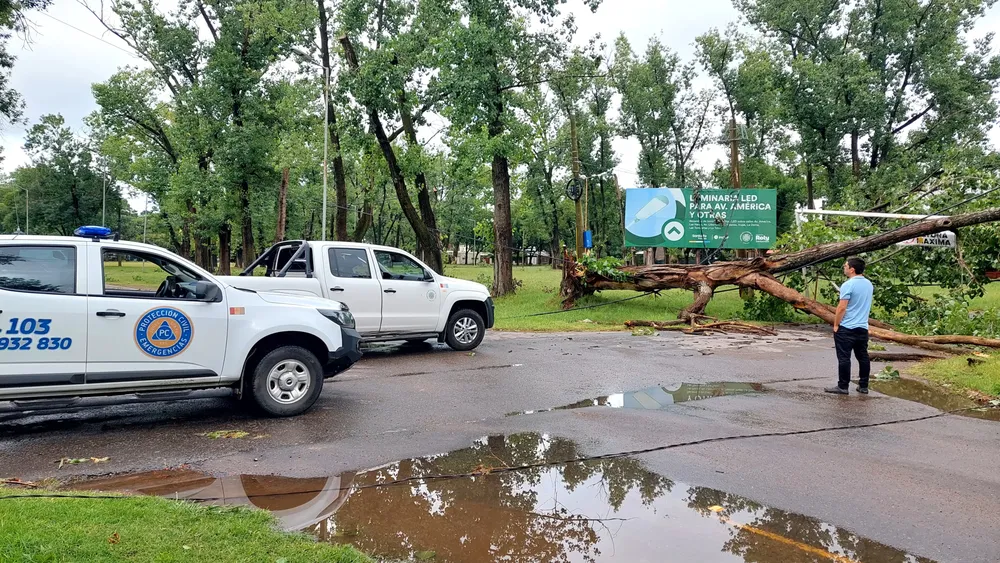 WhatsApp Image 2024-12-06 at 09.44.46