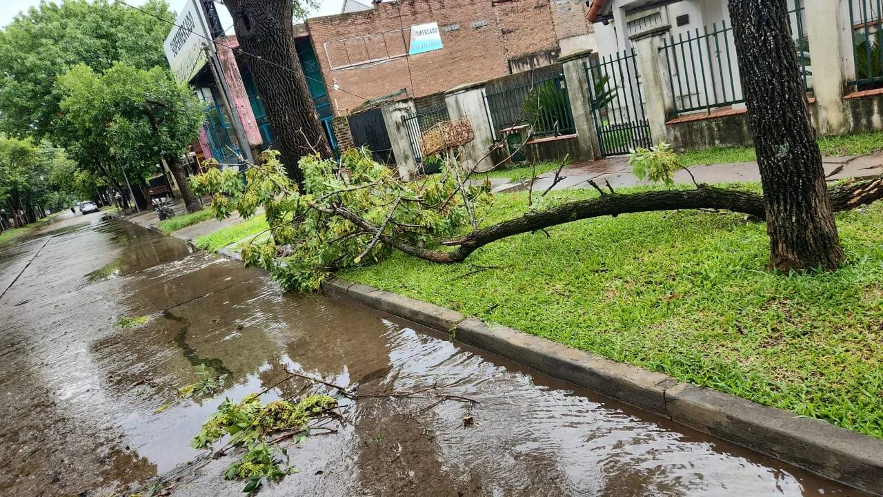 WhatsApp Image 2025-02-05 at 12.23.12 (1)