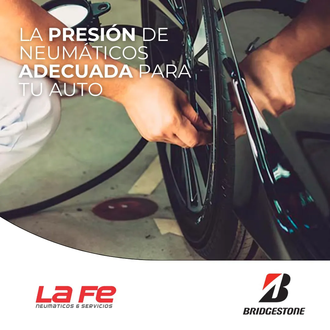 neumaticoslafe_460341630_1080828894045029_1398295730268537693_n