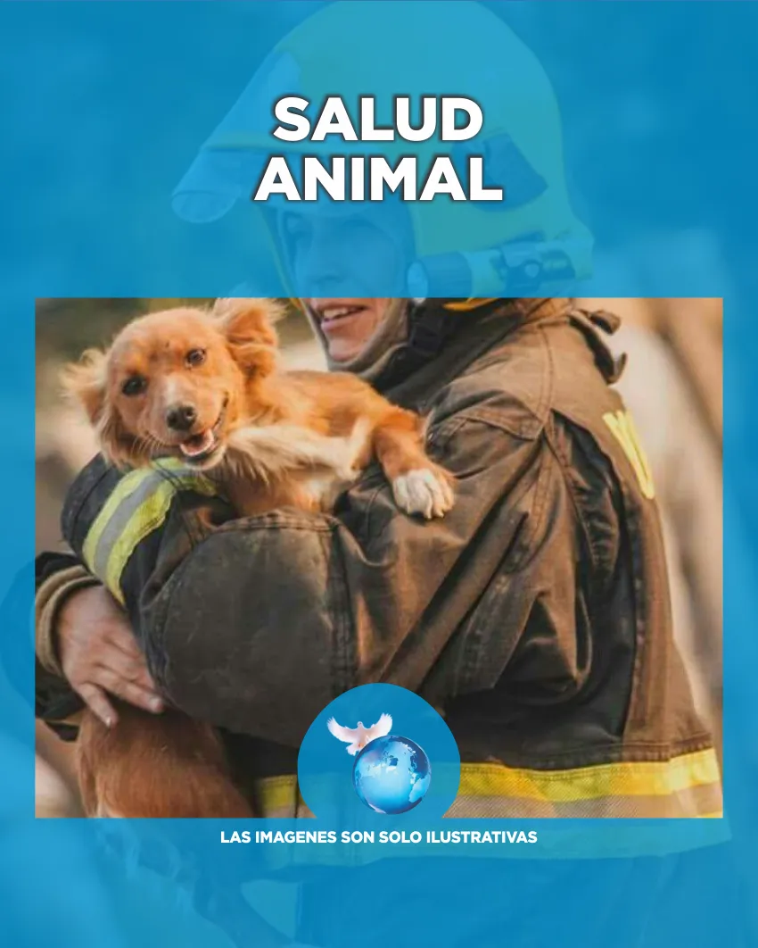 Salud Animal