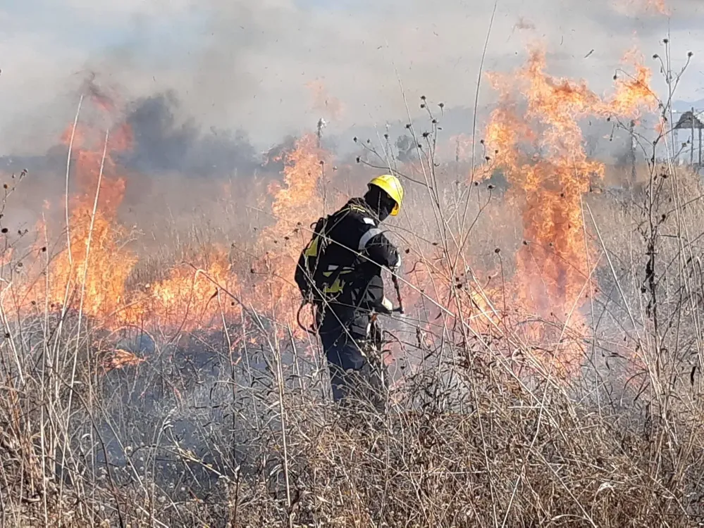 intervencion-incendio-sab-carlos-1-jpg (convert.io)