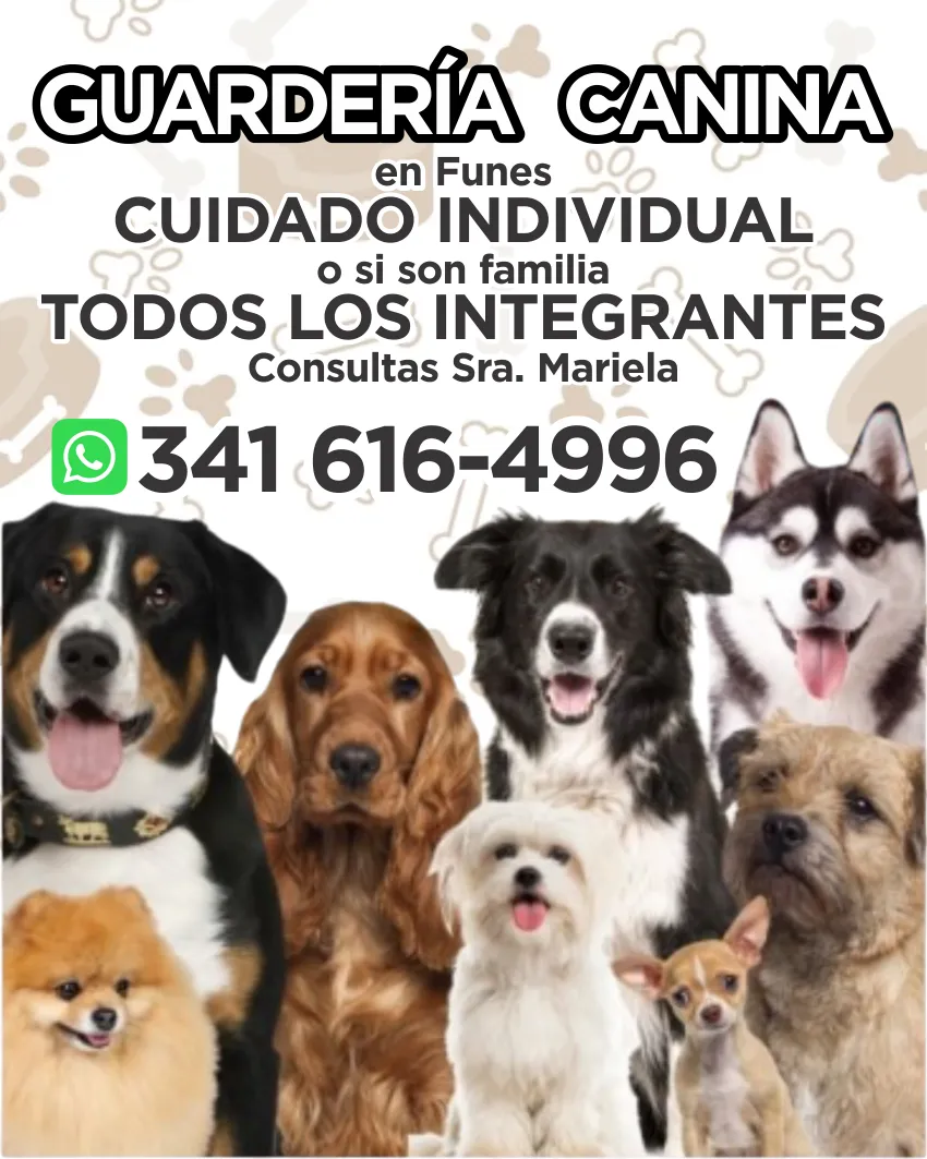 Guarderia Canina
