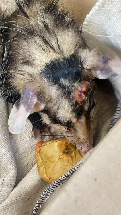 WhatsApp Image 2024-12-07 at 11.59.35