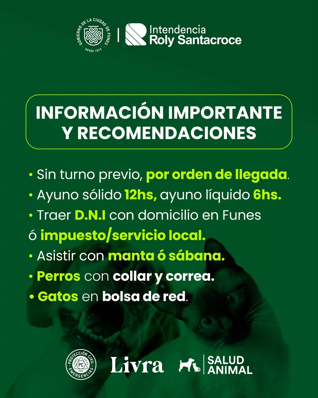saludanimal.funes_1782909255_3931650068208941156_65671429708