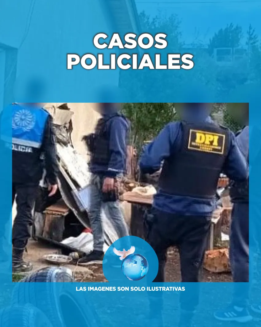 CASOS POLICIALES