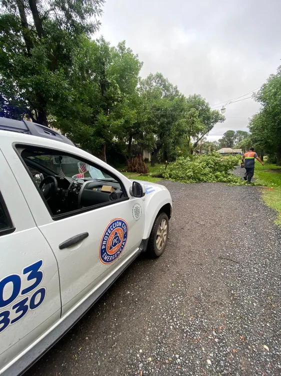 WhatsApp Image 2024-12-06 at 08.58.01