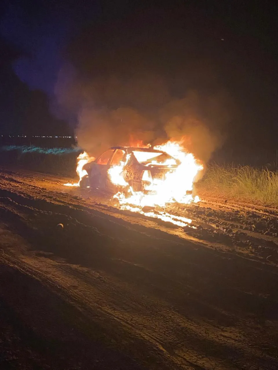 WhatsApp Image 2025-11-11 at 10.47.28 AM