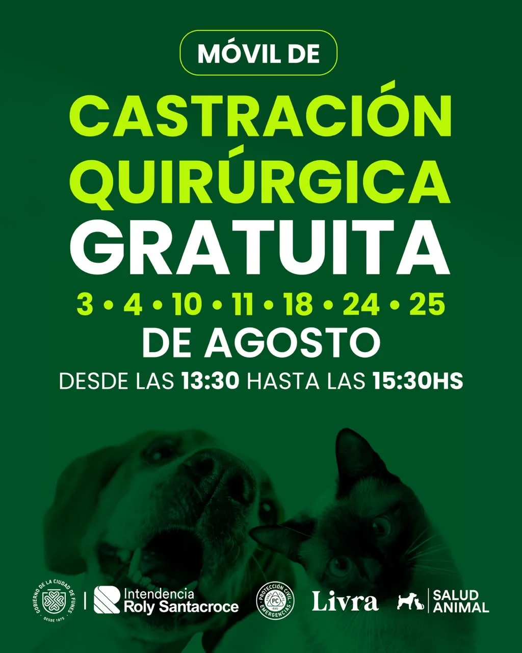 saludanimal.funes_1785416728_3952684283843788996_65671429708