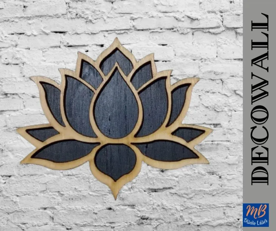 mbdislaser_464054956_402485006248017_8370888500542284998_n (convert.io)