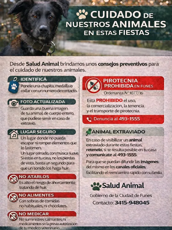 saludanimal.funes_1766346993_3792715934771289004_65671429708